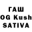 Псилоцибиновые грибы Psilocybine cubensis Qpid
