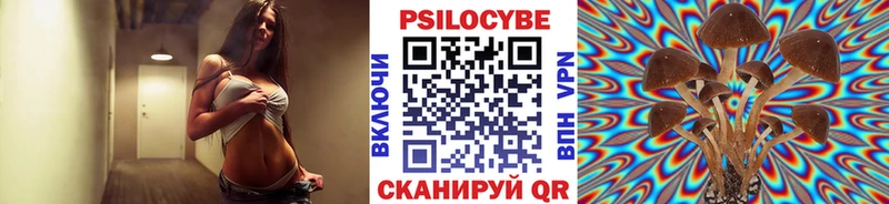 Псилоцибиновые грибы Psilocybine cubensis  Абдулино 